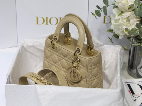lady D*or my abcD*or bag-20cm