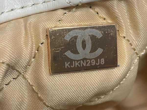 CL LARGE BACKPACK 22
